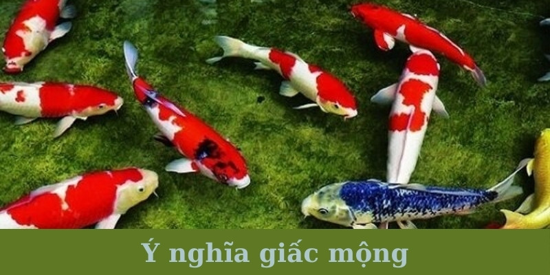 Ý nghĩa giấc mộng